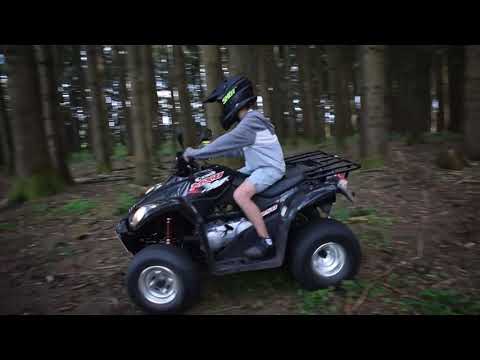 Im Wald rumheizen |#2