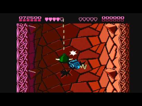 Testing the retroUSB AVS: Battletoads (NES)