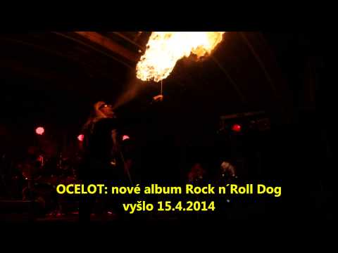 Ocelot (original) - Ocelot : 15.4.2014 vyšlo nové album Rock n´Roll Dog