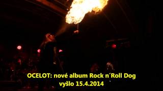 Video Ocelot : 15.4.2014 vyšlo nové album Rock n´Roll Dog