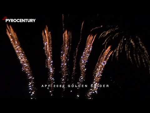 APF 2060 - Golden Spider 25 Schuss Batterie - Pyrocentury