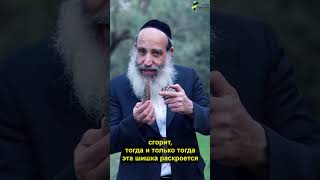 Человек  похож на шишку.  рав Ицхак Фангер (הרב יצחק פנגר) - התמונה מוצגת ישירות מתוך אתר האינטרנט יוטיוב. זכויות היוצרים בתמונה שייכות ליוצרה. קישור קרדיט למקור התוכן נמצא בתוך דף הסרטון