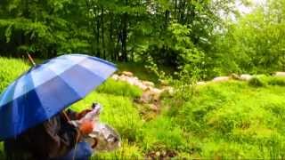 "Izarren Hautsa". Mikel Laboa