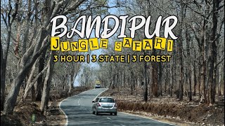 Bandipur Safari | Bandipur Tiger Reserve | Road Trip to Bandipur National Park | Jasmin Nooruniza