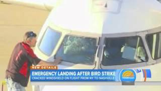 Plane's windshield cracked after bird strike, makes emergency landing