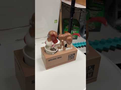 Cute Piggy Bank #shorts #funny #cute #money #dog