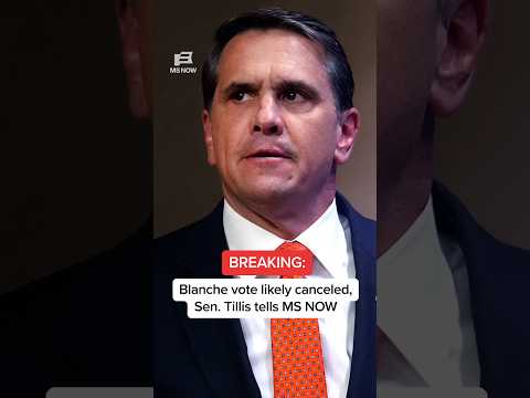 BREAKING: Blanche vote likely canceled, Sen. Tillis tells MS NOW