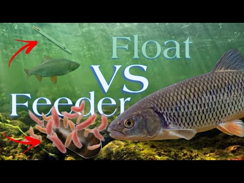 Float Fishing VS Feeder Fishing