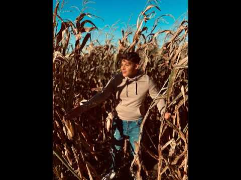 Vamuzze 2021 - Imikének Születésnapjára 20+Kupak (Szőke Cigány)