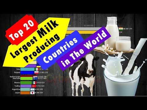 Top 20  Milk Producing Countries in The World | Top Milk Producing Countries in the World