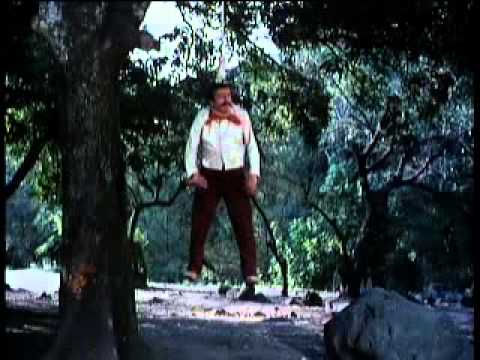 El Charrito Pelicula Completa - Chespirito