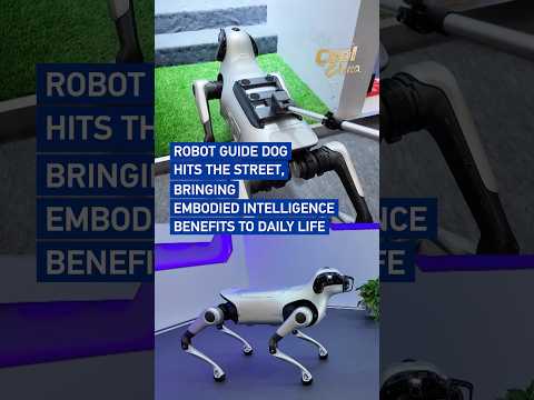AI leads the way: Robot guide dog hits the streets #coolchina