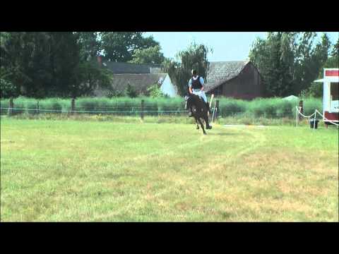 Vanilla Sky v. Valentino - Grundstein's Erbe