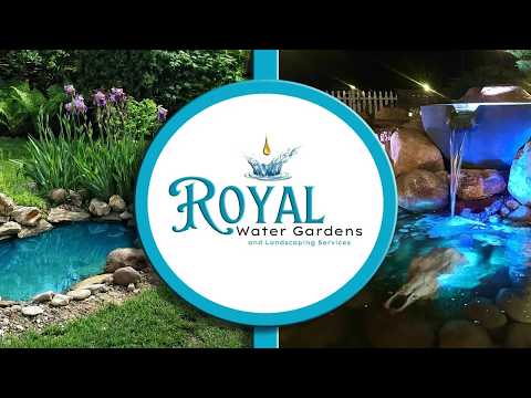 YouTube Video 1