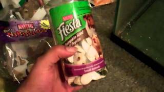 Robo Lemmy-Winks the third