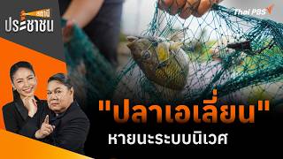 "ปลาเอเลี่ยน" หายนะระบบนิเวศ | สถานีประชาชน | 9 ก.ค. 69