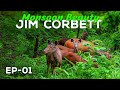 EP 01 Monsoon Beauty Of Jim Corbett 4K Video Hindi हिन्दी