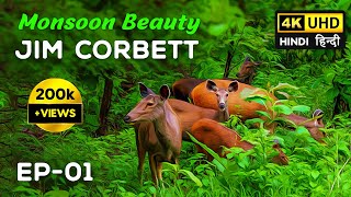 EP 01 - Monsoon  Beauty of Jim Corbett with Eagle 