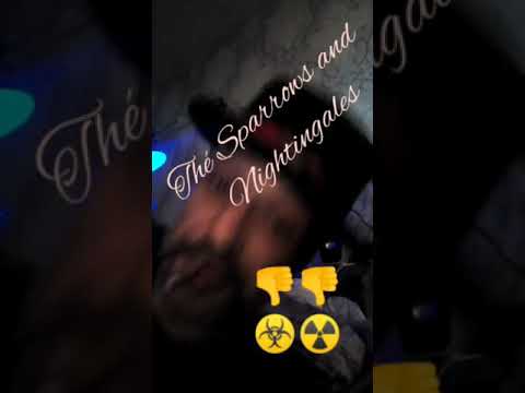 the Sparrows and the Nightingales