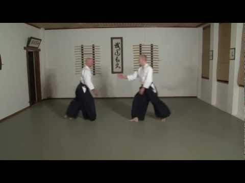 Aikido Guide