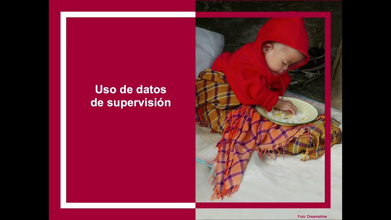 Monitoreo de la fortificación del arroz- 11. Informes y uso de datos