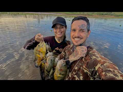 Pescaria de apaiari com camarão, interior de São Paulo Rubineia