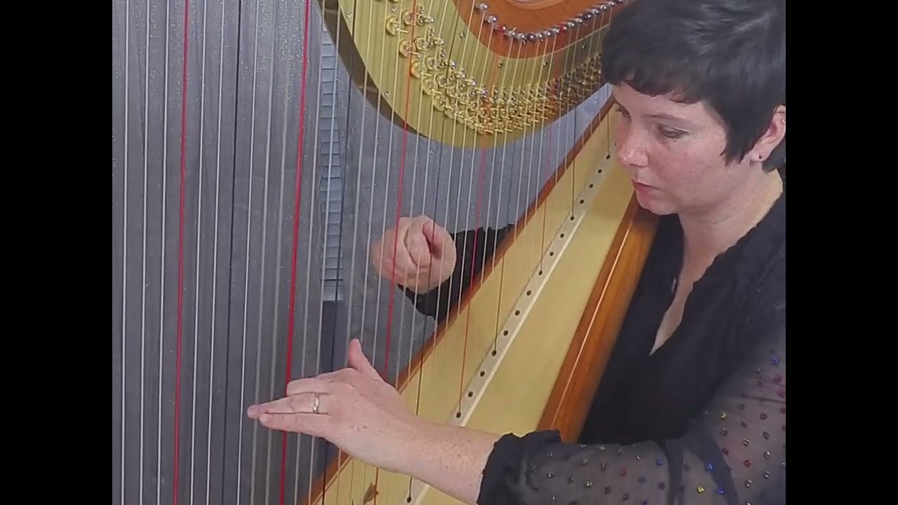 Promotional video thumbnail 1 for Lauren Ulrich - Harpist