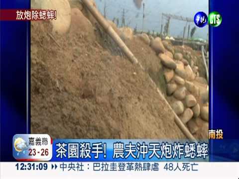 南投茶農除害蟲 炮炸蟋蟀洞