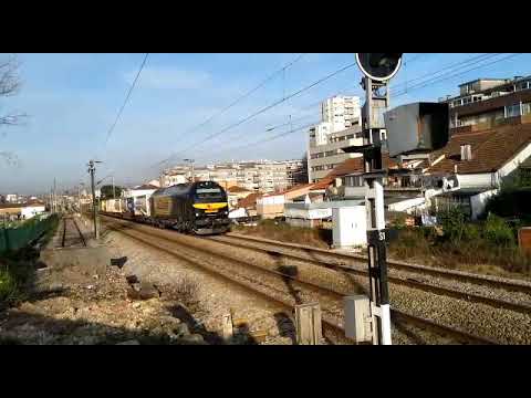 Medway en Vila Nova de Gaia