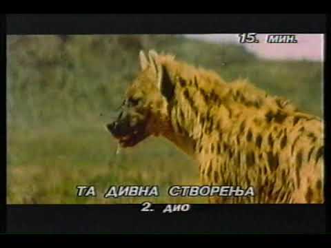 JRT TV Sarajevo - I noć i dan, Ta divna stvorenja 2. dio