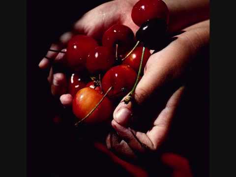 Ajde Jano :) Quartet Klezmer Trio