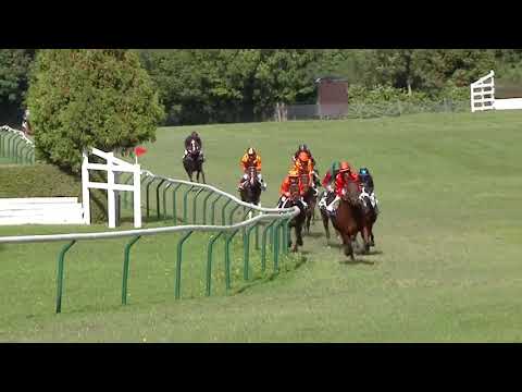 Maienfeld/13.10.2019/Poneys D - Preis der Firma Intool AG