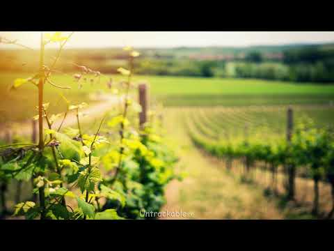 Andrew Dum ft. Katarina - Take Me Home (Dave Andres Remix) [HQ]