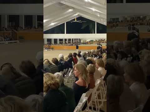 Dressage horse at helgstrand