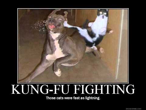 Fun Tomas feat. Carl Douglas - Kung Fu Dancing