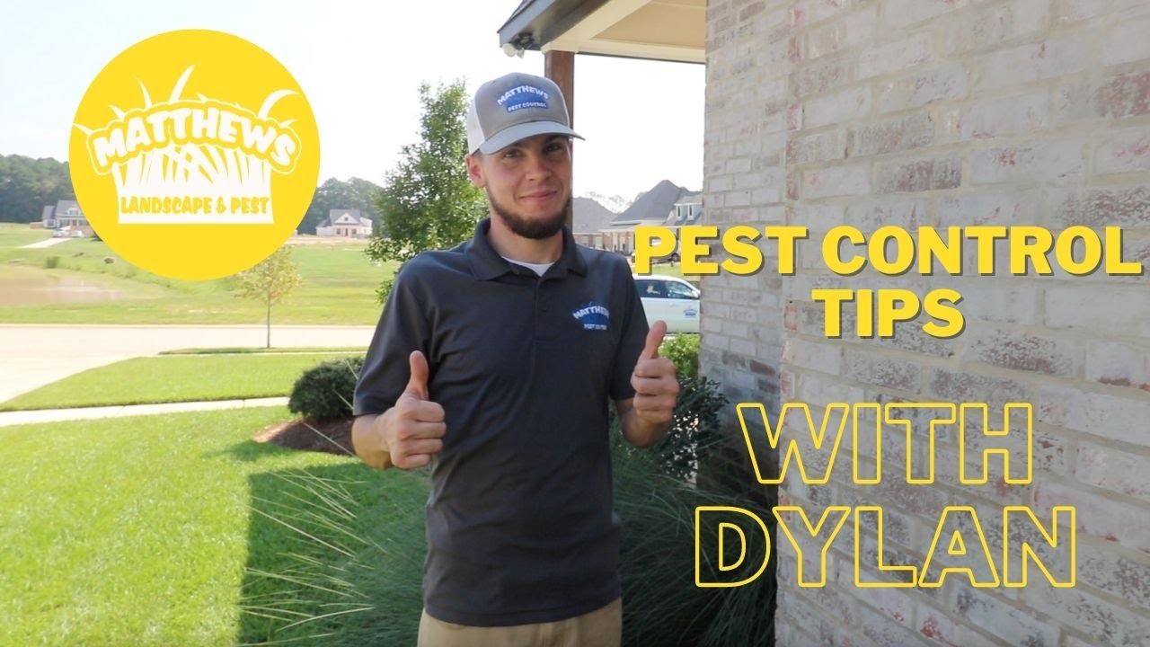 Pest Control Tips With Dylan