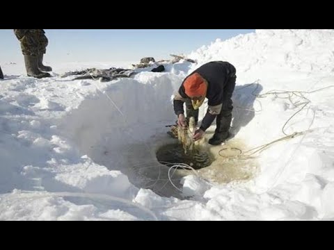 Mikhaïl Semionovitch Antonov, pêcheur Dolgane