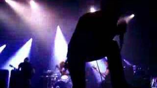 the blackout - spread legs not lies