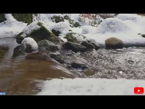 Flowing Water / Winter Stream Snowy Village River /Sounds for Sleeping - White Noise - 4K HDR.