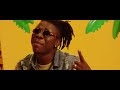 Stonebwoy - Falling Again ft. Kojo Funds (Official Video)