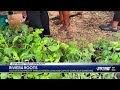 RivieraRoots Celebrating Climate Conscious Gardening And Green Living