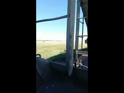 Train hopping in the Prairies