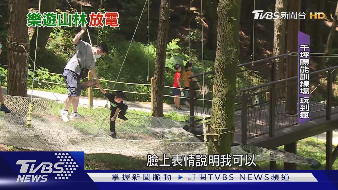 小孩暑假放電來這裡!東勢林場當山大王