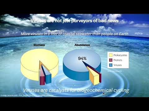 Virology Lectures 2021 #1  What is a Virus