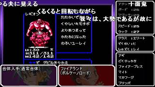 【コメ付き】 【真・女神転生 デビルチルドレン黒・赤】魔界デビル全書 sm27850402
