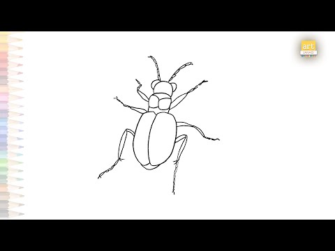 Beetle easy drawing video | Insect drawings | How to draw Beetle step by step | outline drawings