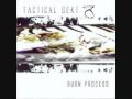 Tactical Sekt - Burn Process 