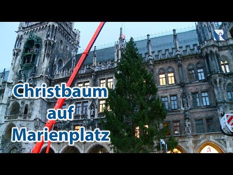 Christbaum auf dem Marienplatz in München