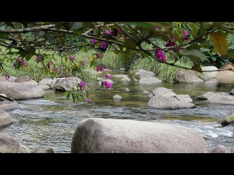 4K River Cascades - Relaxing Waterfall Sounds & Nature Video - Water Flow - White Noise