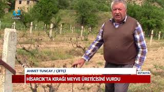 HİSARCIK’TA KIRAĞI MEYVE ÜRETİCİSİNİ VURDU